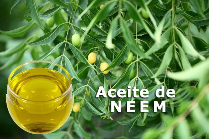 Aceite de Neem