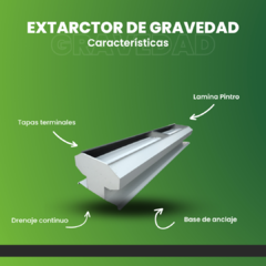 EXTRACTOR AXIAL DE GRAVEDAD LAMINA PINTRO - comprar en línea