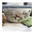 ENSALADERA BUTTERFLY GREEN