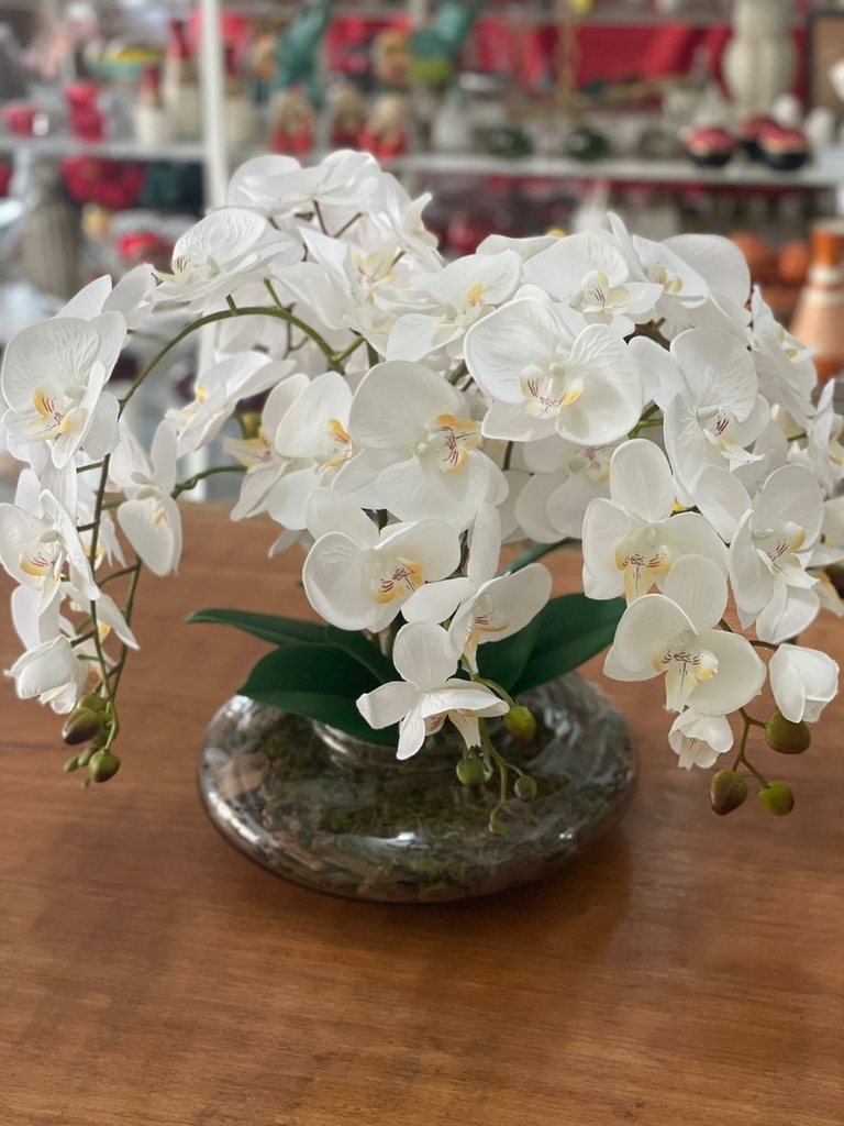 Arranjo de Orquídeas Branca em Vaso Terrário