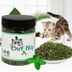 Catnip orgânico erva de gato de alta qualidade / hortelã/ brinquedo interativo para gatos