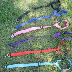 Imagem do Cinto de segurança ajustável para PETS, dois em um, para uso em carros