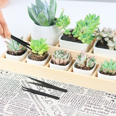 kit de ferramentas para jardinagem doméstica