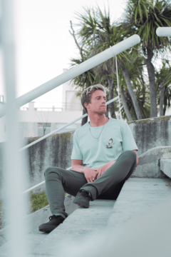 REMERA SURF LEYEND en internet