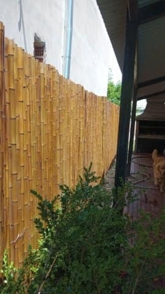 Cercos de Cañas en stock en internet