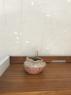 Molheira com pintinhas - comprar online