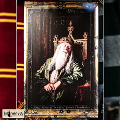 Cuadro Dumbledore Dormido - 33x53cm