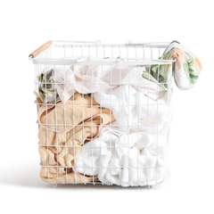 CANASTO BERLIN WHITE