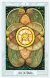 TAROT - THOTH TAROT DECK POCKET - comprar online