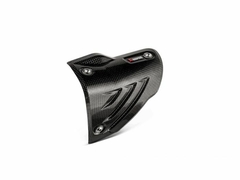 PROTECTOR DE CARBONO - BMW S1000RR 2019 - AKRAPOVIC