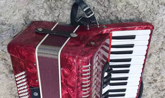 Acordeon Parrot