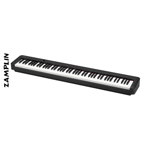 Organo Teclado Casio Profesional CDP-S160 Negro