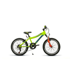 RALEIGH ROWDY ROD 20 en internet