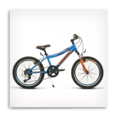 RALEIGH ROWDY ROD 20