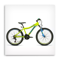 RALEIGH SCOUT ROD 24