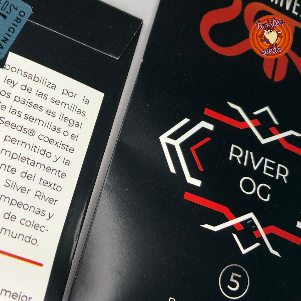 River OG Silver River seeds Twister Seeds