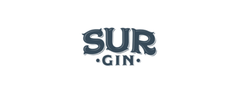 GINSUR