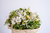 Bouquet Alfonsina · Silvestre en internet