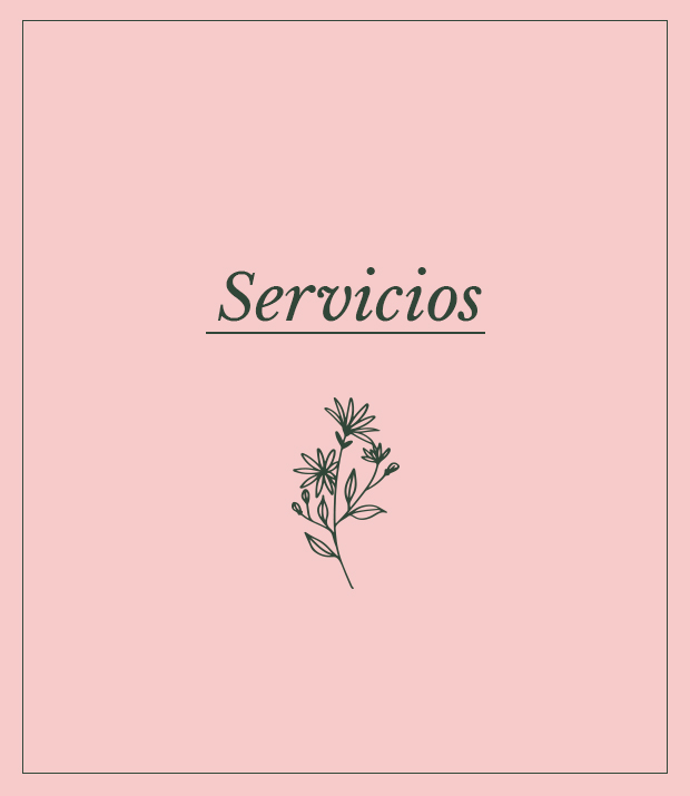 Banner de Compañía de Flores