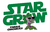 Fertilizante Big Bud Advanced Nutrients 250ml - Star Grow - comprar online