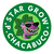 Green Leaf - Silicio Micronizado 200 cc - Star Grow Shop