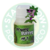 Power Buffer - Calibrar Medidor Ph 7 - 50 ml