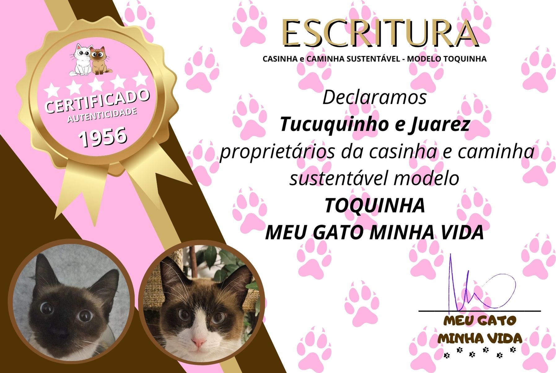 eSCRITURA cASINHA mEU gATO mINHA vIDA