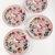 Plato Playo Pajarito Linea Pajarito Set x 4 Unidades - comprar online