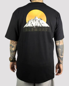 Camiseta M/C Hollis Element - comprar online