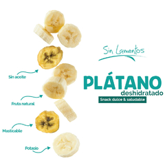 Plátano Deshidratado 25g (Caja 12 piezas) en internet