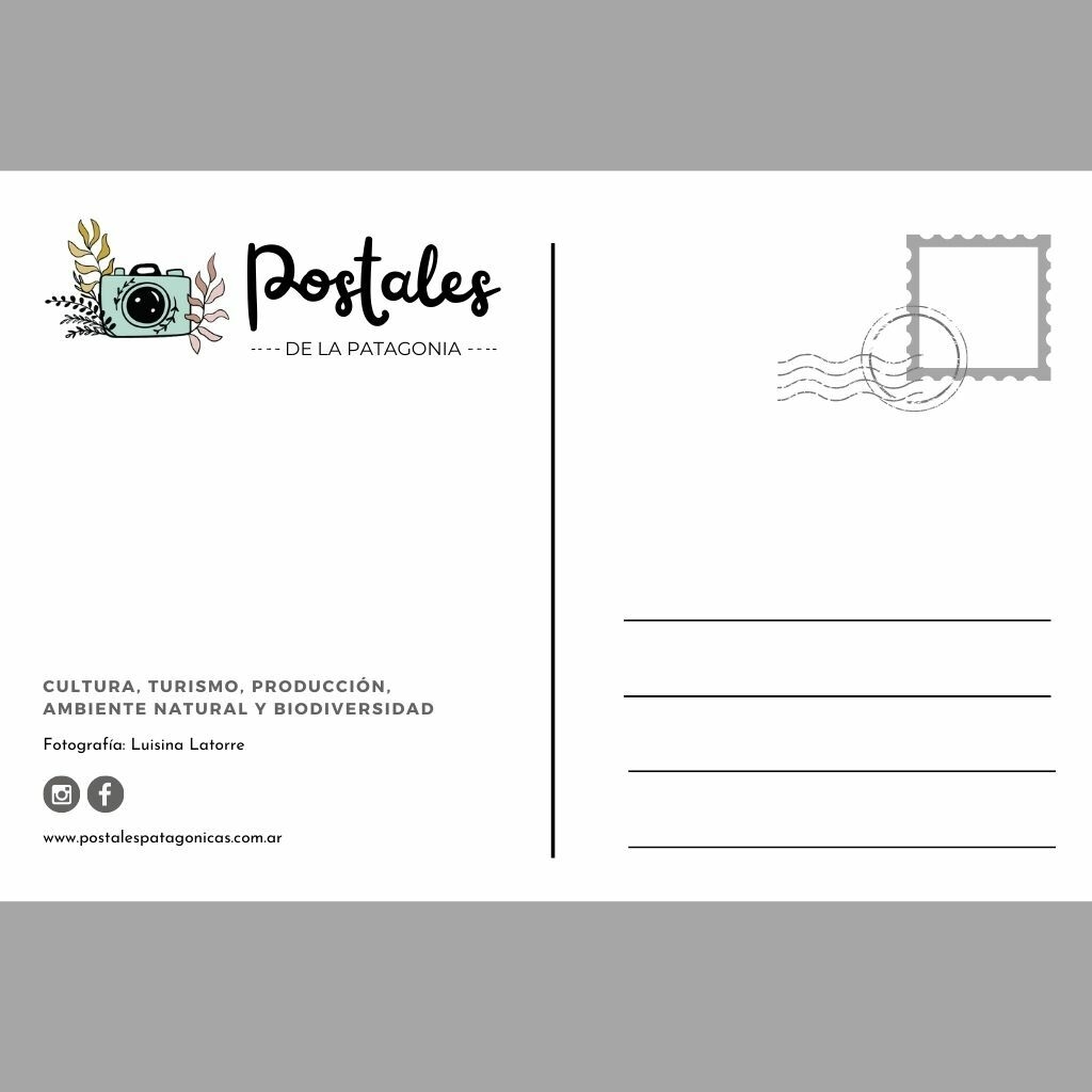 los-barreales-neuqu-n-paisajes