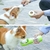 Comedouro De Garrafa De Água Para Cães De Estimação Tigela Portátil Animais Garrafas Viagem na internet