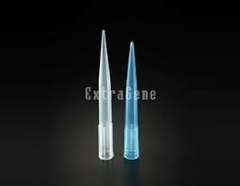 Tips p/micropipeta 100-1000 uL azules.