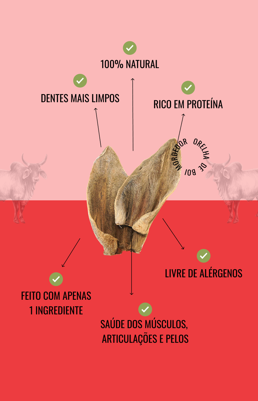 Banner de The Hungry Dog