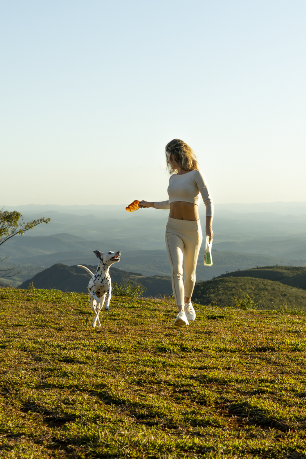 Banner de The Hungry Dog
