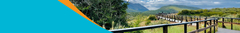 Banner de la categoría Terrestres