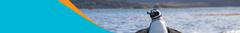Banner de la categoría Todo el año
