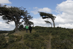 Puerto Almanza - Yehuin Turismo - Excursiones en Ushuaia, Patagonia Argentina