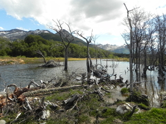 Parque Nacional Tierra del Fuego
