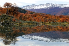 Parque Nacional Tierra del Fuego en internet