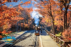 Parque Nacional Tierra del Fuego - tienda online