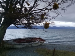 Excursión Lago Escondido y Lago Fagnano - comprar online
