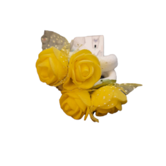 Colita Rosas - Manchitas