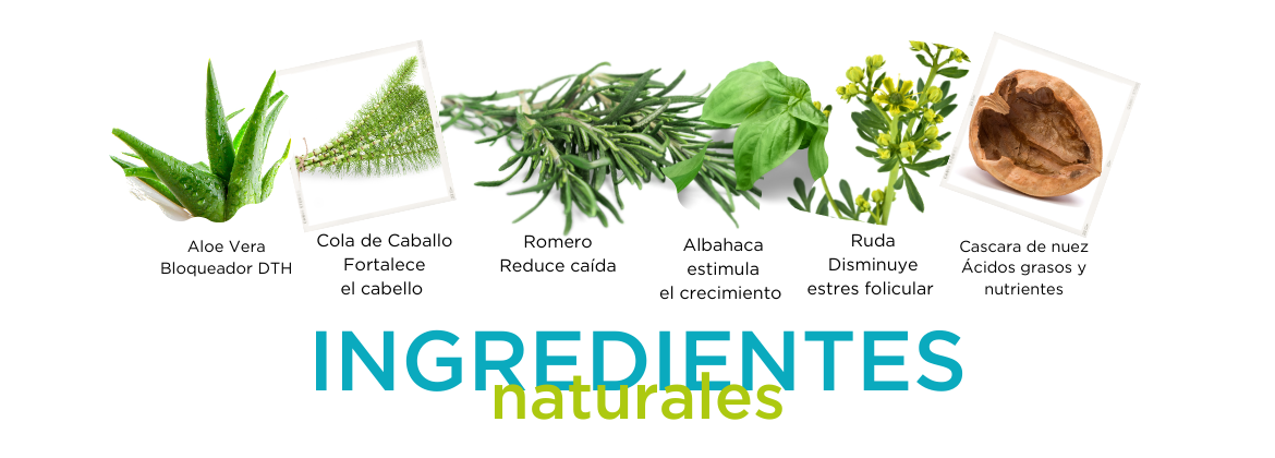 ingredientes