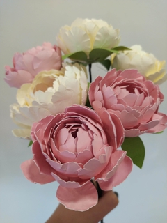 PEONIAS - comprar online