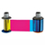 Cinta de color Fargo 84051 YMCK para impresoras HDP5000