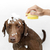 Escova de banho massageadora com compartimento de shampoo para animais de estimação. na internet