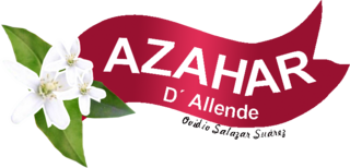 Apicola de Allende