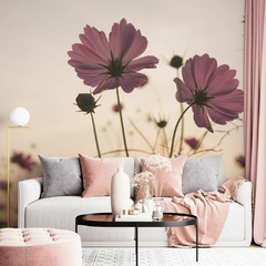 Cosmos