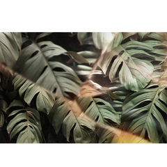 Hojas Monstera - comprar online